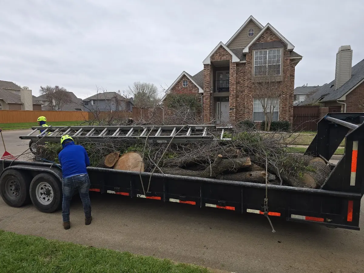 Expert Lot Clearing with proper safety equipment in Wendell